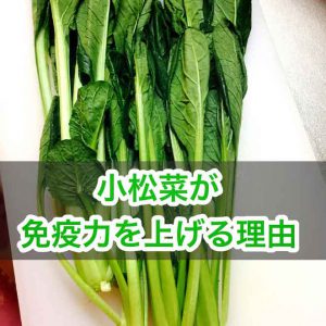 小松菜がん予防